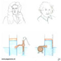 Einstein vs Newton 2D.jpg
